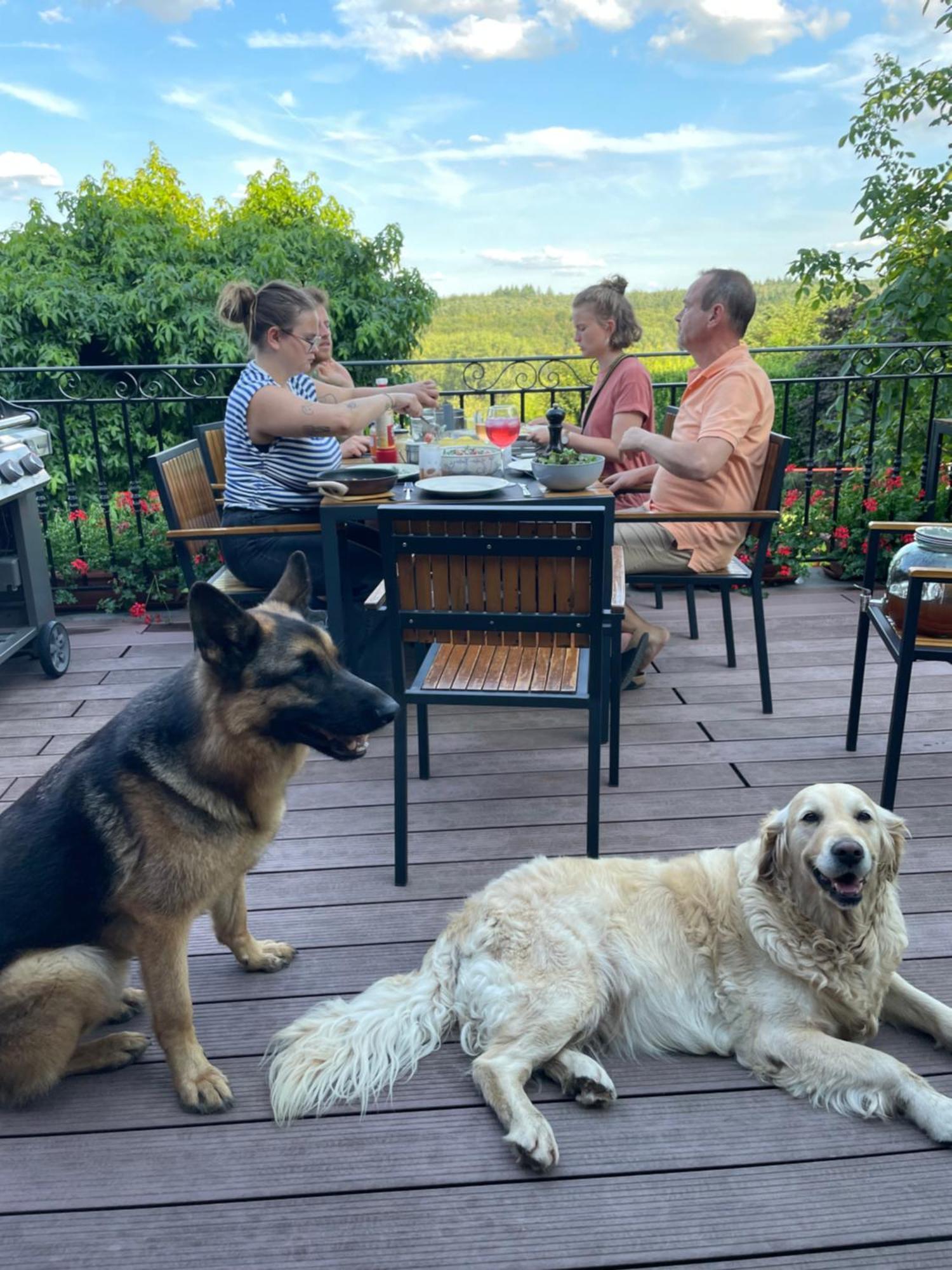 Hallerbos B&B In Bluebell Forest 哈勒 外观 照片